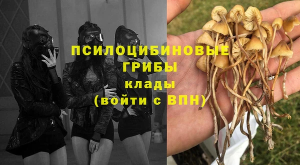 соль курить ск Медногорск