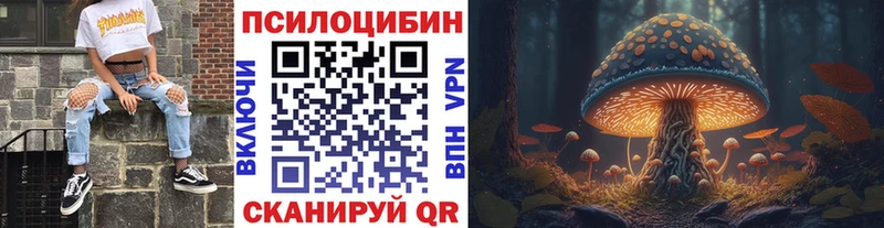 Псилоцибиновые грибы Psilocybe  магазин  наркотиков  Звенигород 